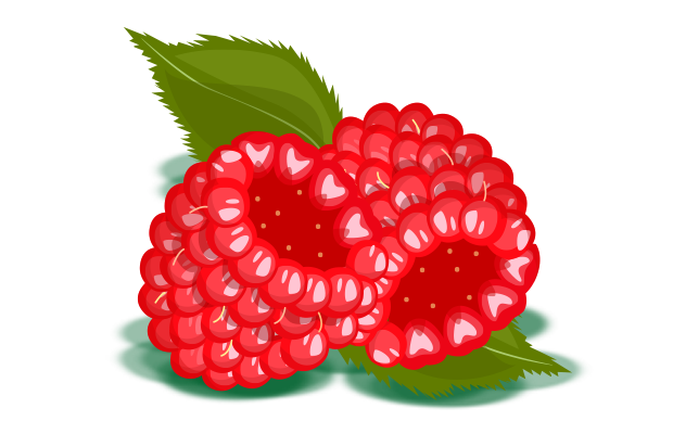 Zwei rote Himbeeren mit grünen Blättern im Hintergrund.