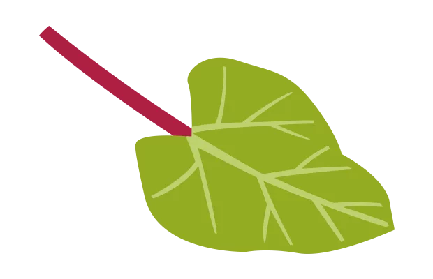 Ein grünes illustriertes Blatt.