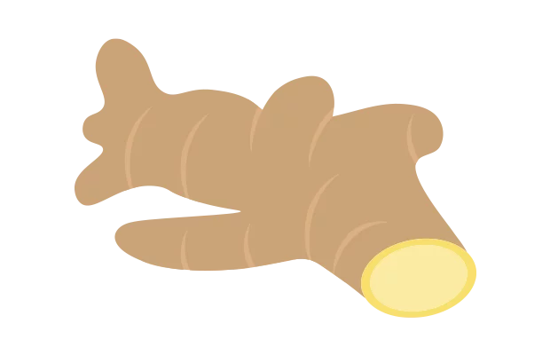 Eine hellbraune Ingwerknolle.